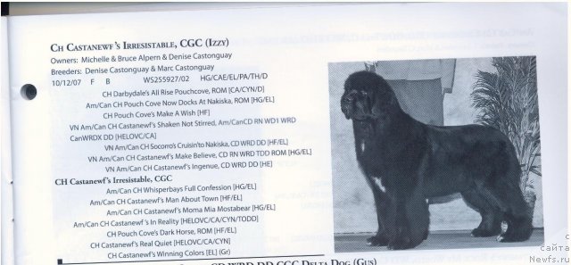 Фотография № 58301