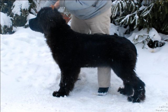 Фотография № 58302