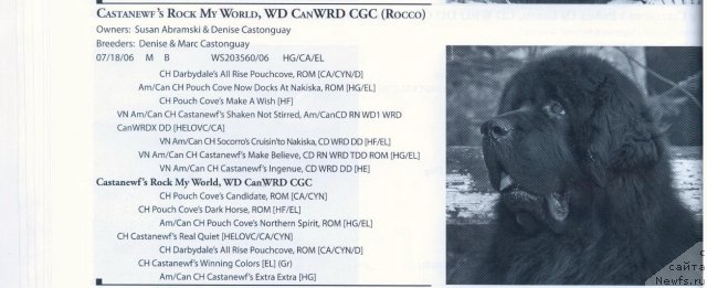 Фотография № 58318