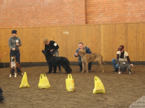 Фотография № 58321