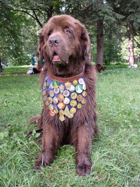 Фотография № 58322