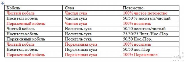 Фотография № 58325