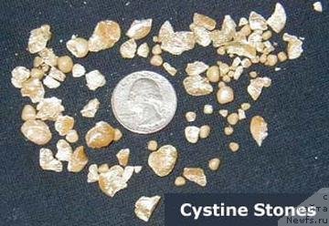 Фотография № 58326