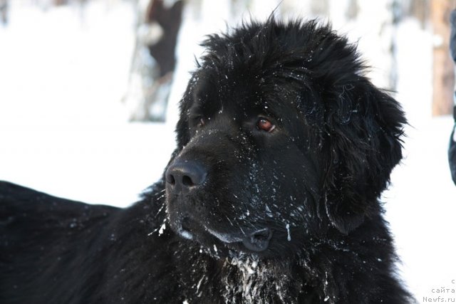 Фото: Лена Зырина