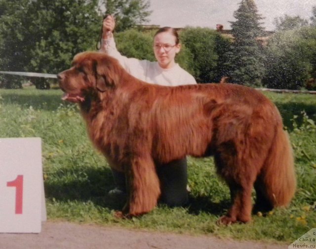 Фотография № 58344