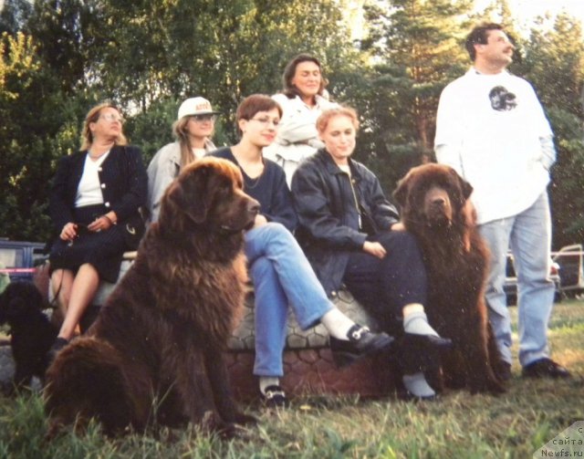 Фотография № 58351