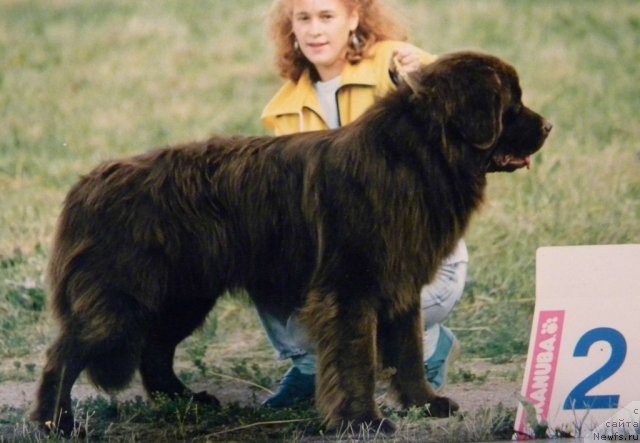 Фотография № 58356