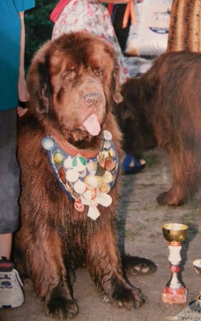 Фотография № 58359