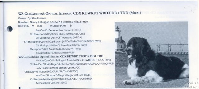 Фотография № 58372