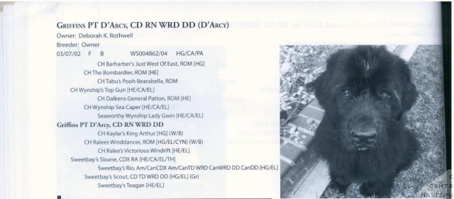 Фотография № 58379