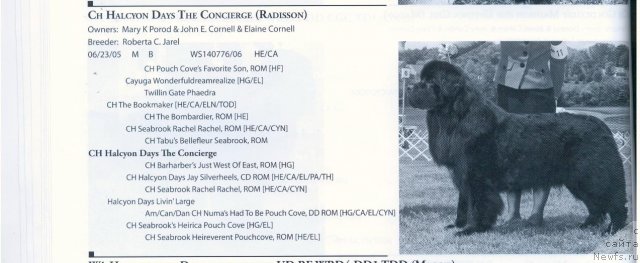 Фотография № 58381