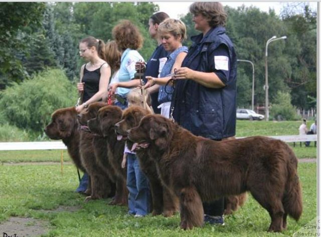 Фотография № 58452