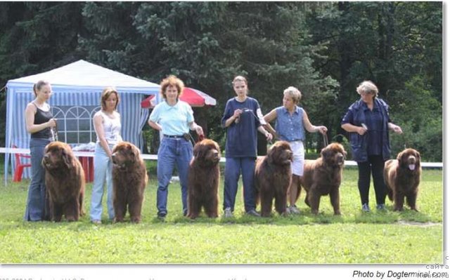 Фотография № 58457