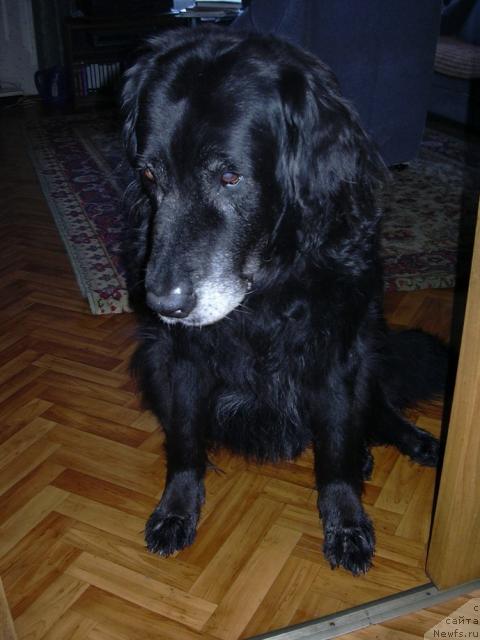 Фото: Дарья Терентьева