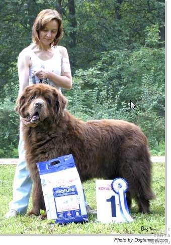 Фотография № 58469