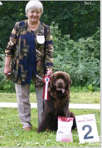 Фотография № 58479