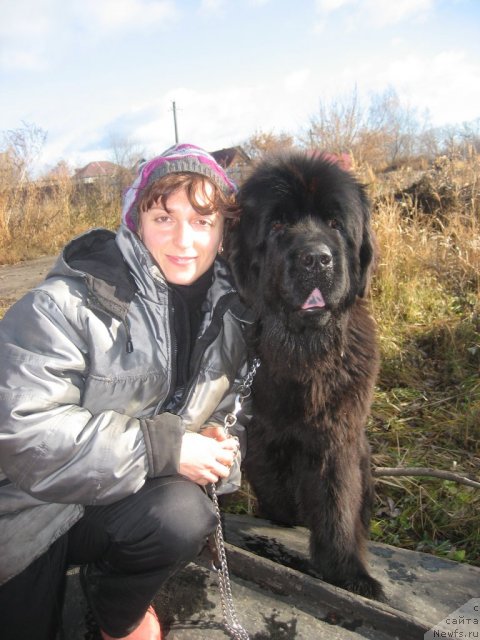 Фото: Светлана Глаголева