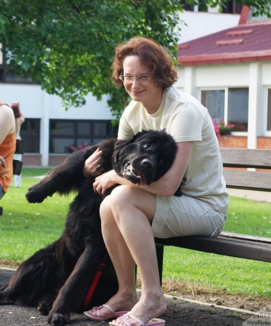 Фото: ньюфаундленд Бегущая по Волнам Само Совершенство (Beguschaya po Volnam Samo Sovershenstvo), Галина Акулина