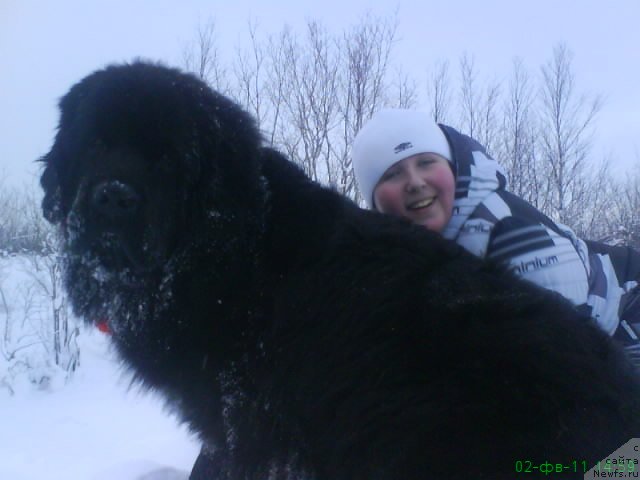 Фотография № 58492