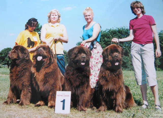 Фотография № 58496