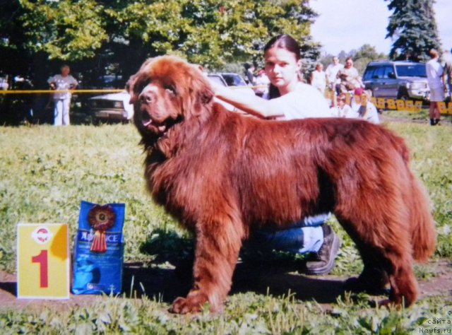 Фотография № 58497