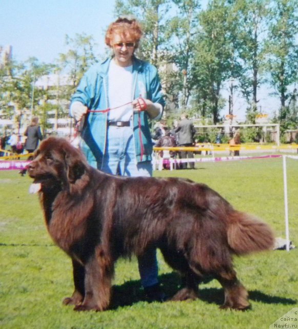 Фотография № 58500