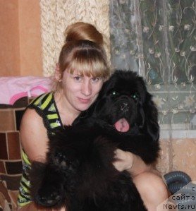 Фото: ньюфаундленд Ньюфорт Магия Любви