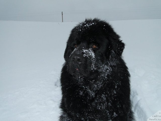 Фотография № 58511