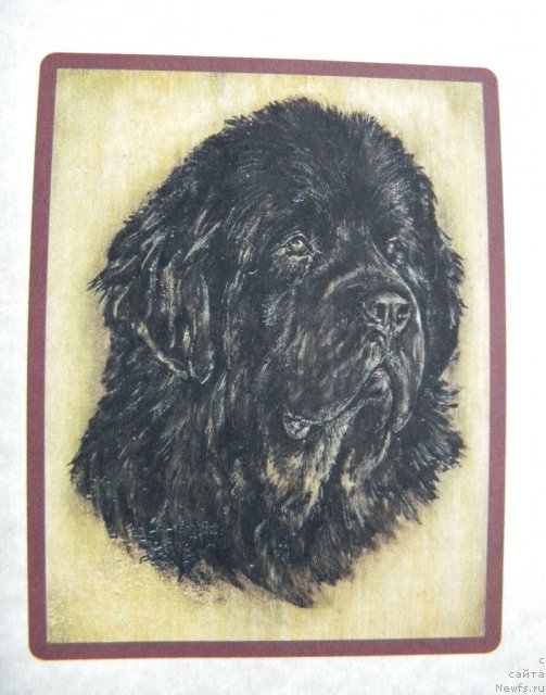 Фотография № 58513