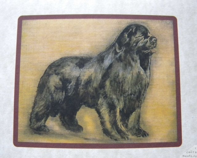 Фотография № 58514