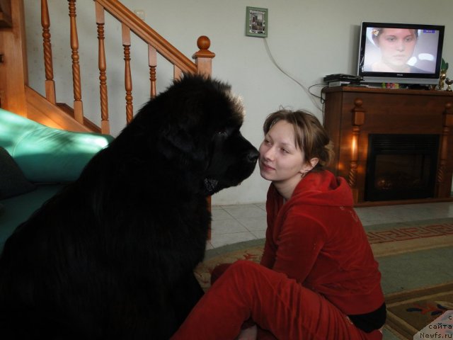 Фотография № 58525