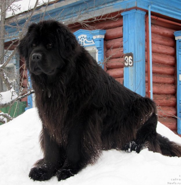 Фотография № 58571