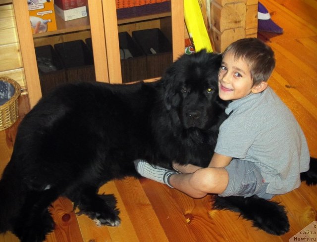 Фотография № 58573