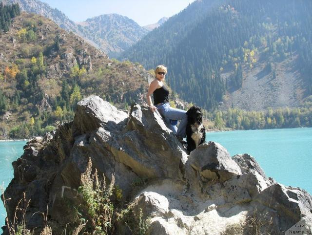 Фото: ньюфаундленд Маг Исполин Елана (Mag Ispolin Elana), Елена Зайцева (Замятина)