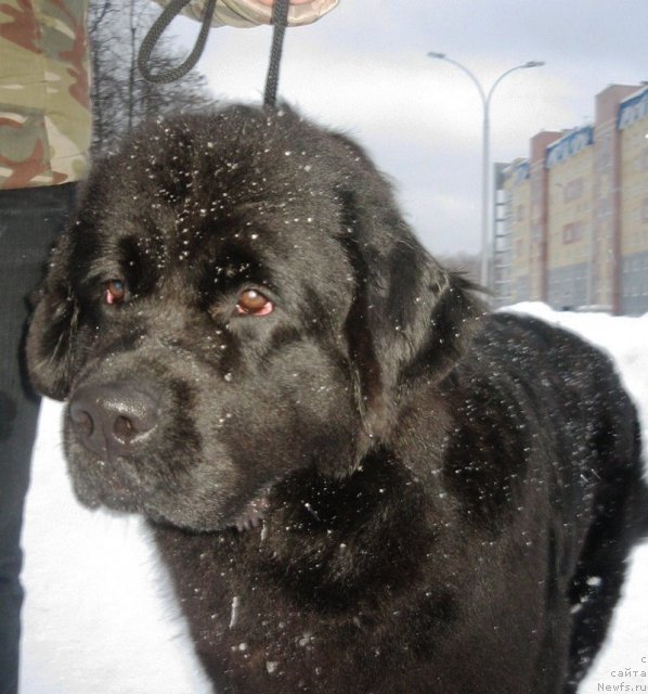 Фотография № 58673