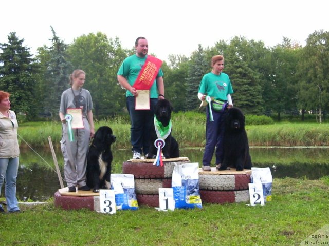 Фотография № 58687