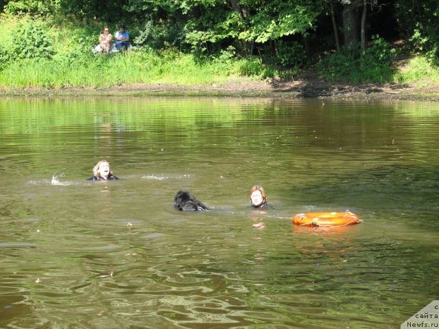 Фотография № 58705