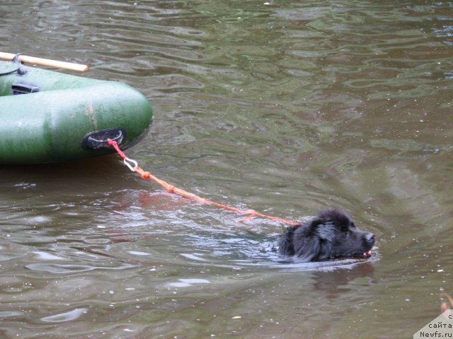 Фотография № 58706