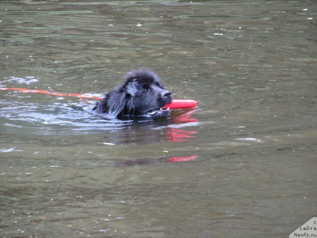 Фотография № 58707