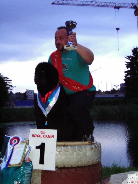 Фотография № 58710