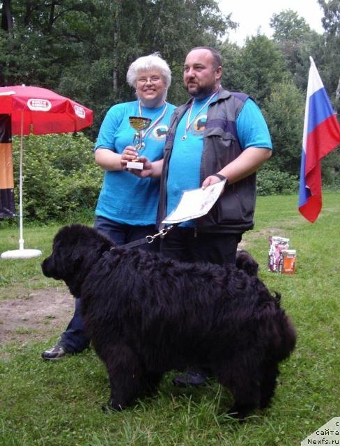 Фотография № 58712