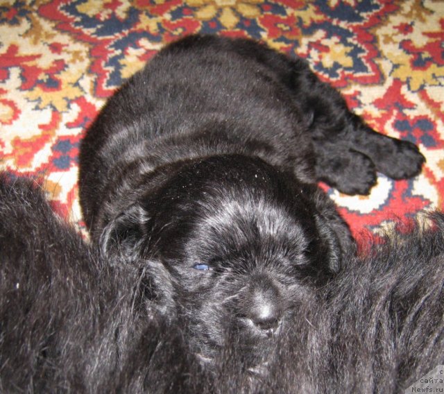 Фотография № 58717