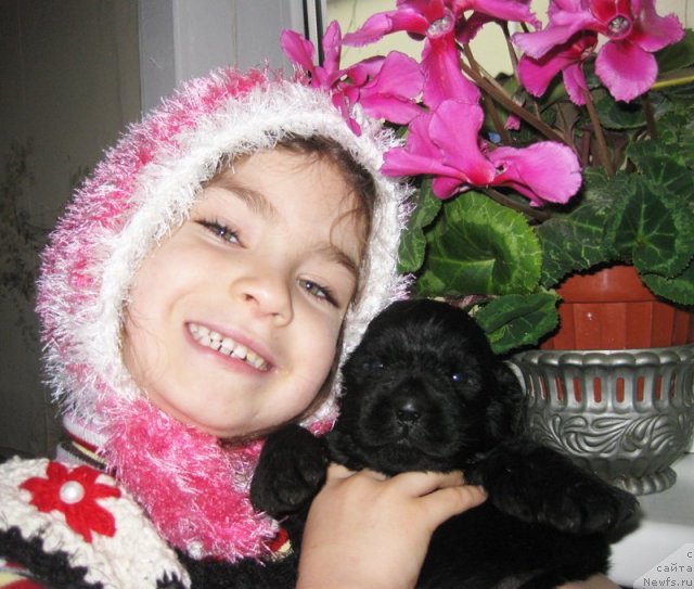 Фотография № 58720