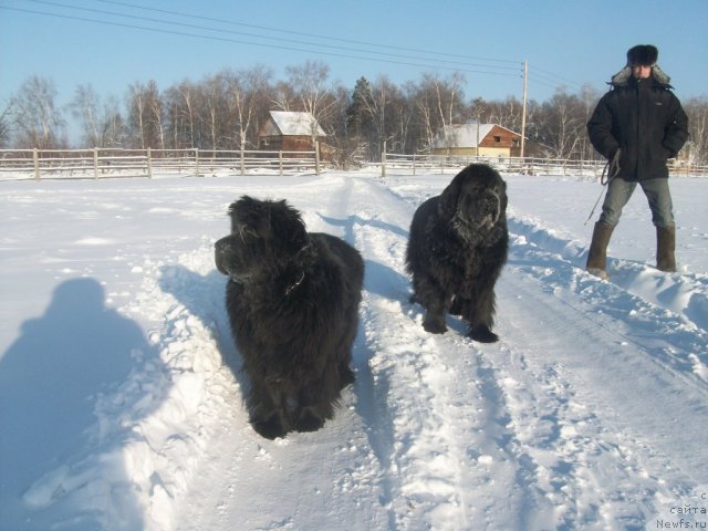 Фотография № 58735