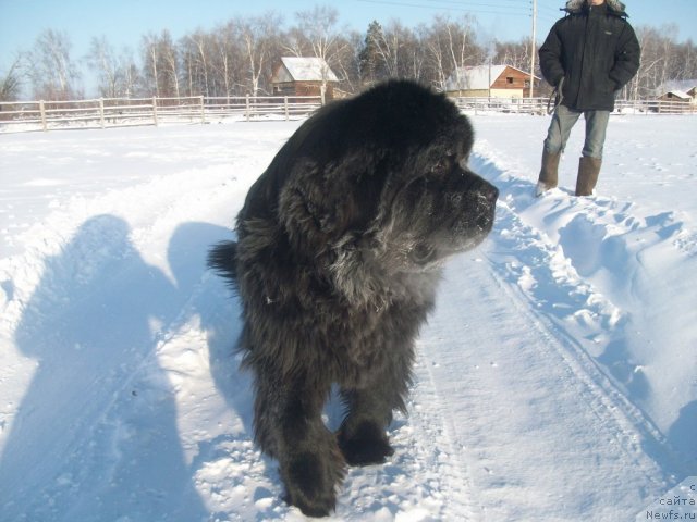 Фотография № 58736