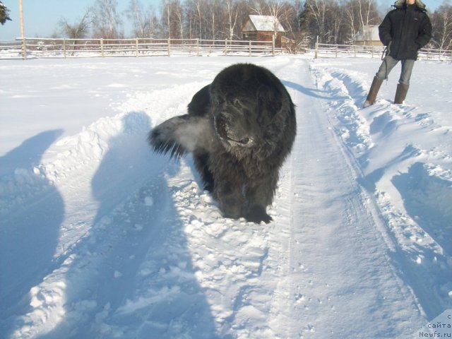 Фотография № 58737