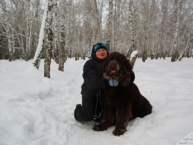 Фотография № 58744