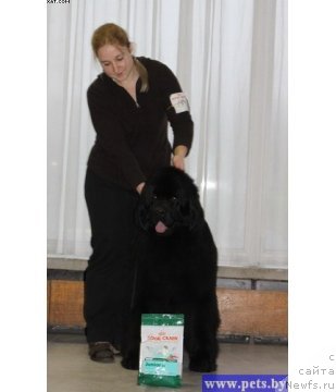 Фотография № 58756