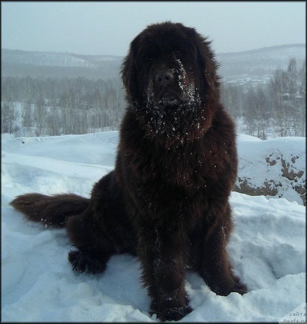 Фотография № 58760