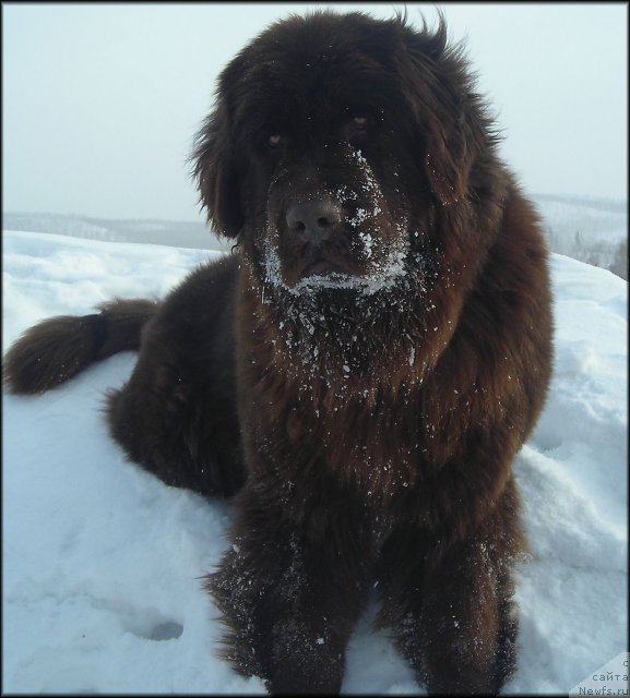 Фотография № 58764